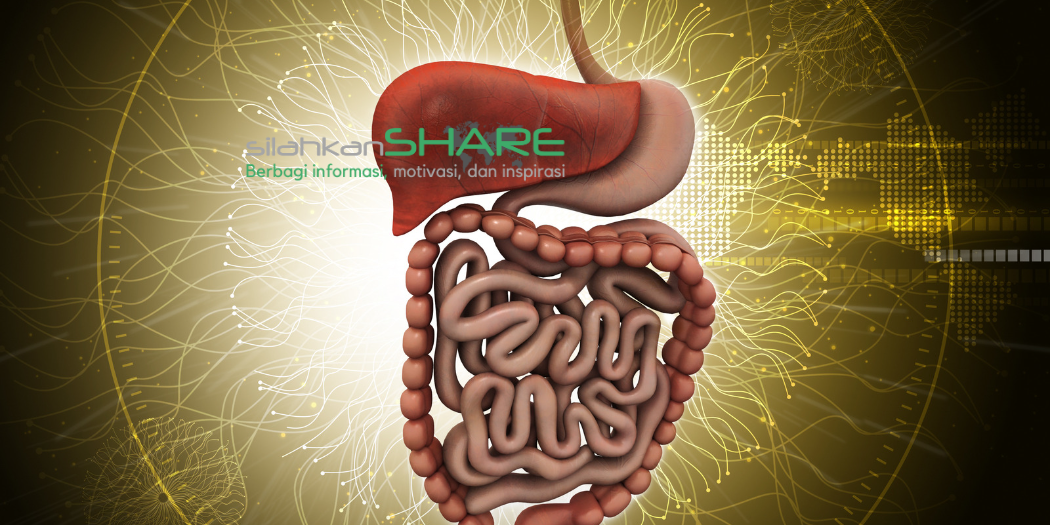 Manfaat buah Jambu untuk Pencernaan